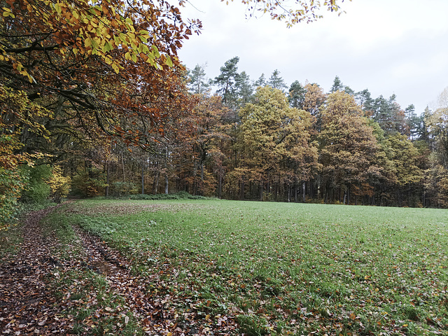 Fränkischer Jakobsweg: Gräfenberg - Kalchreuth