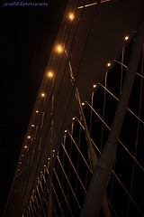 Trojský most 5