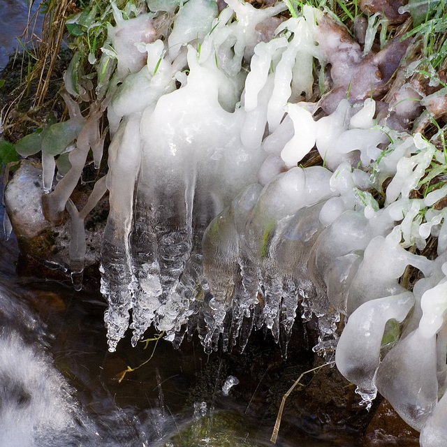 Frozen slugs?