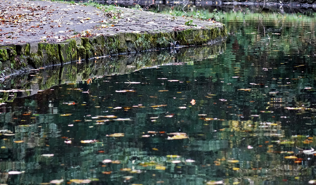 Autumn Reflections