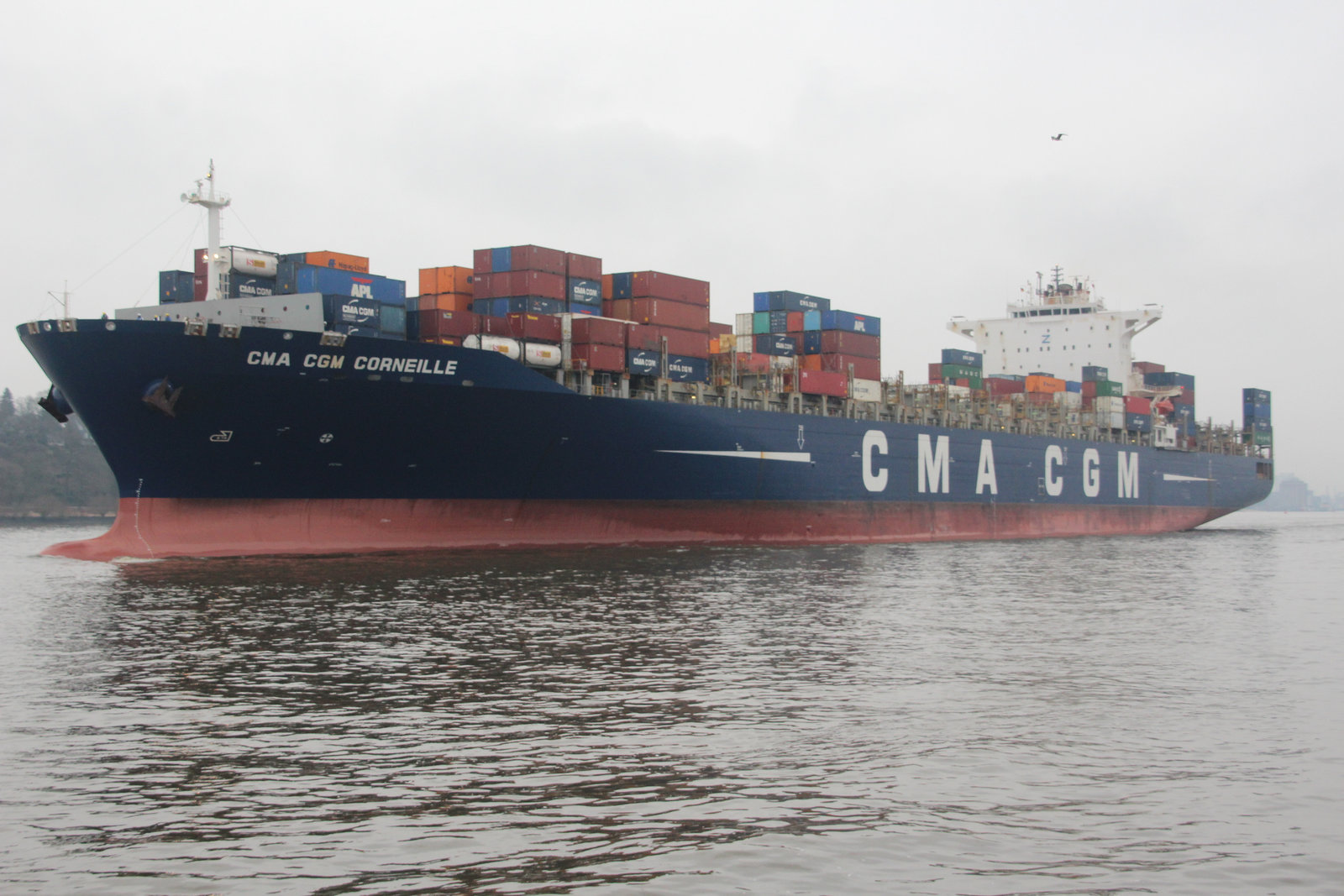 CMA CGM Corneille