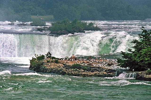 Niagara - Horseshoe Falls - 1986