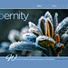 ipernity homepage with #1648