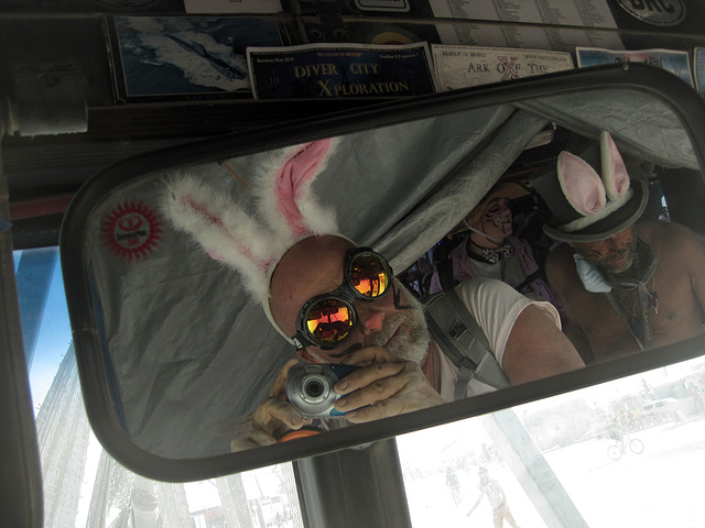On The Billion Bunny March Bus (6678)