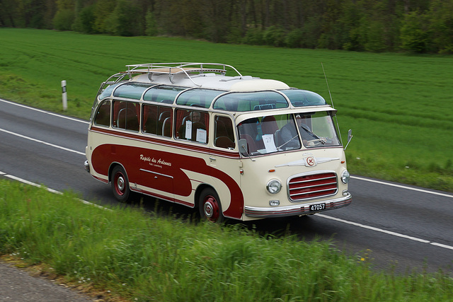 Omnibustreffen Sinsheim/Speyer 2017 680