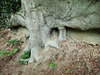painshill park (67)