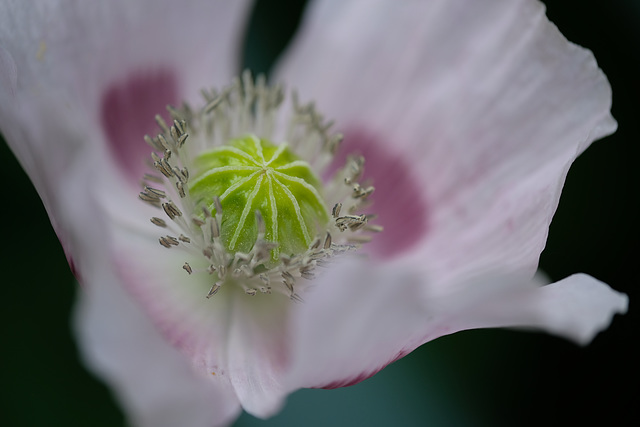 DSCF1035