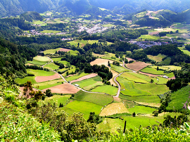 Reliefs with exuberant vegetation and carefully cultivated fields