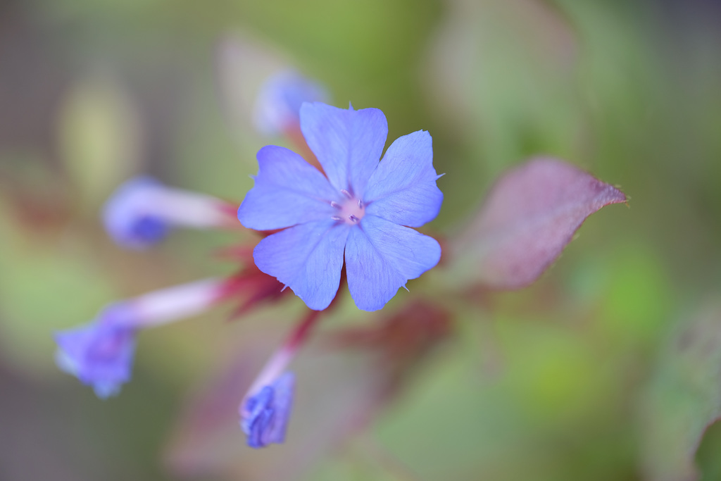 DSCF3924