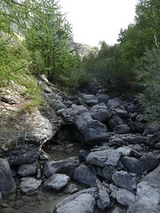 20220828 -11 Ubaye (Alpes de Haute Provence) (821)