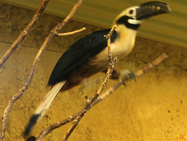 2023-05-07 41 Ea Zoo