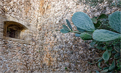 Antibes, Fort Carré 28