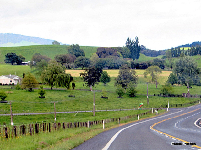 Above Tirau