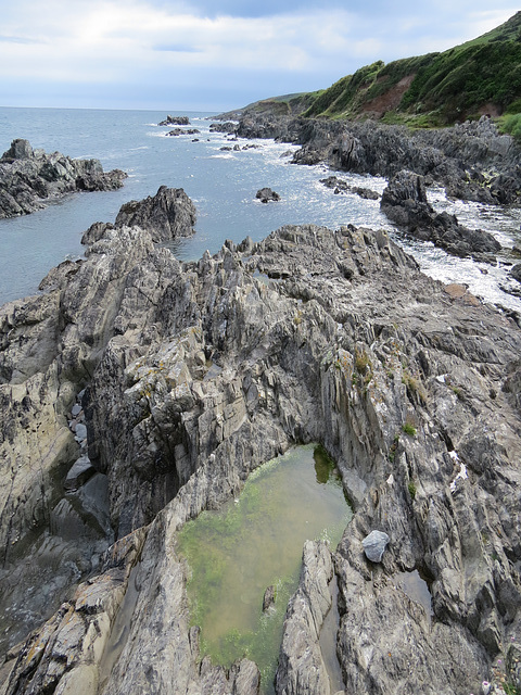 carswell cove, devon