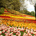 „Symphonie der Tulpen“ auf dem Insel Mainau