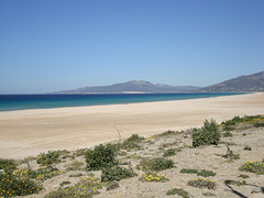 Strand von Tarifa