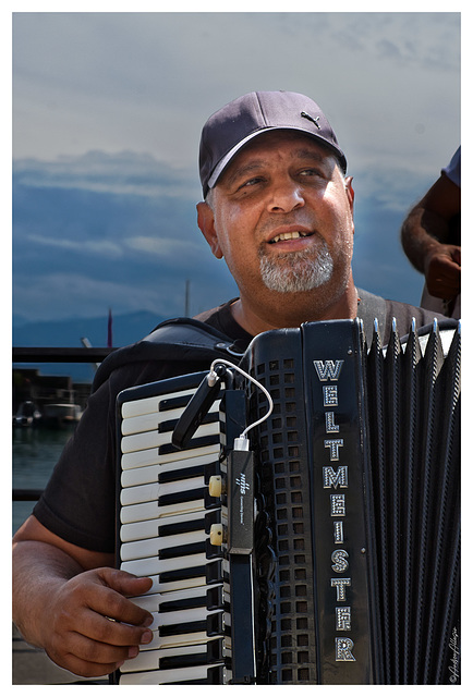 Impressive accordion melody