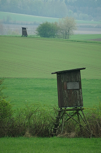 windschief