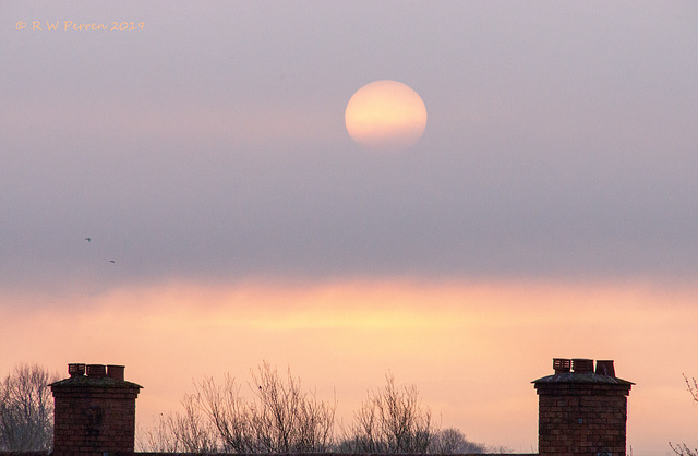 Through the morning mist