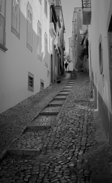 Tavira.... Portugal.. featuring the local  ''Rodent reduction Co.''... namely - the cat.