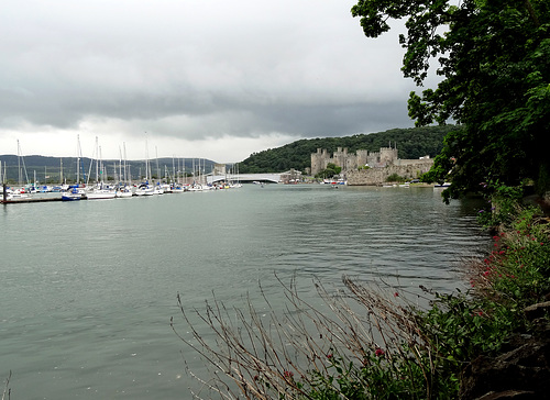 Conway castle