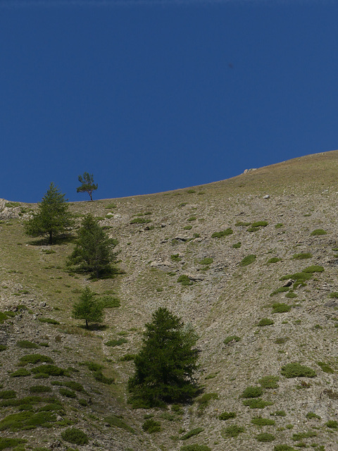 20220828 -11 Ubaye (Alpes de Haute Provence) (824)