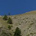 20220828 -11 Ubaye (Alpes de Haute Provence) (824)