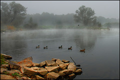 Nebel an der Ruhr