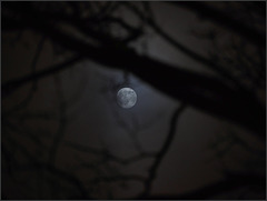 Quasi-Full Moon