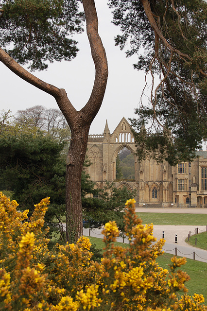 Newstead Abbey, Nottinghamshire