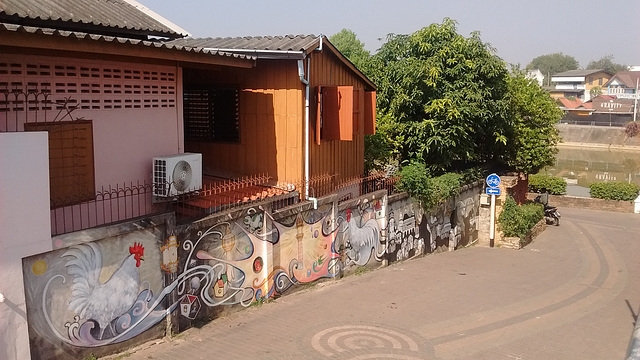 Deux poules en pente / Two hens on a slope