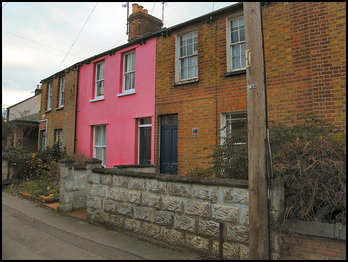 shocking pink spoils terrace row