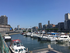 Port des yachts