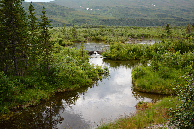 Alaska, Reflection in Paxton Lake