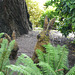 Moss Sculpture At The Butchart Gardens