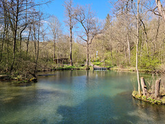 Sonniger Blick über den Quellteich