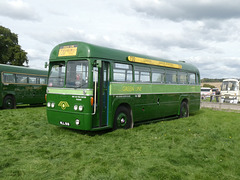 On display at Showbus 50 - 25 Sep 2022 (P1130497)