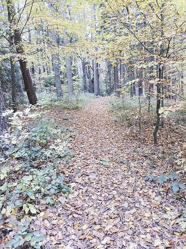 Fränkischer Jakobsweg: Gräfenberg - Kalchreuth