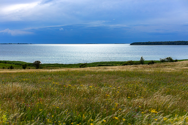 Dybsø Fjord