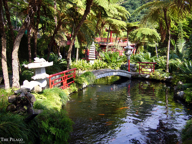 2011 Madeira, Monte Palace, Tropical Garden