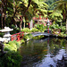 2011 Madeira, Monte Palace, Tropical Garden