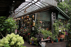 Installé depuis 1808 , le marché aux fleurs de l'Île de la Cité à Paris