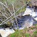 Looking over the cliffs to the Dorback Falls