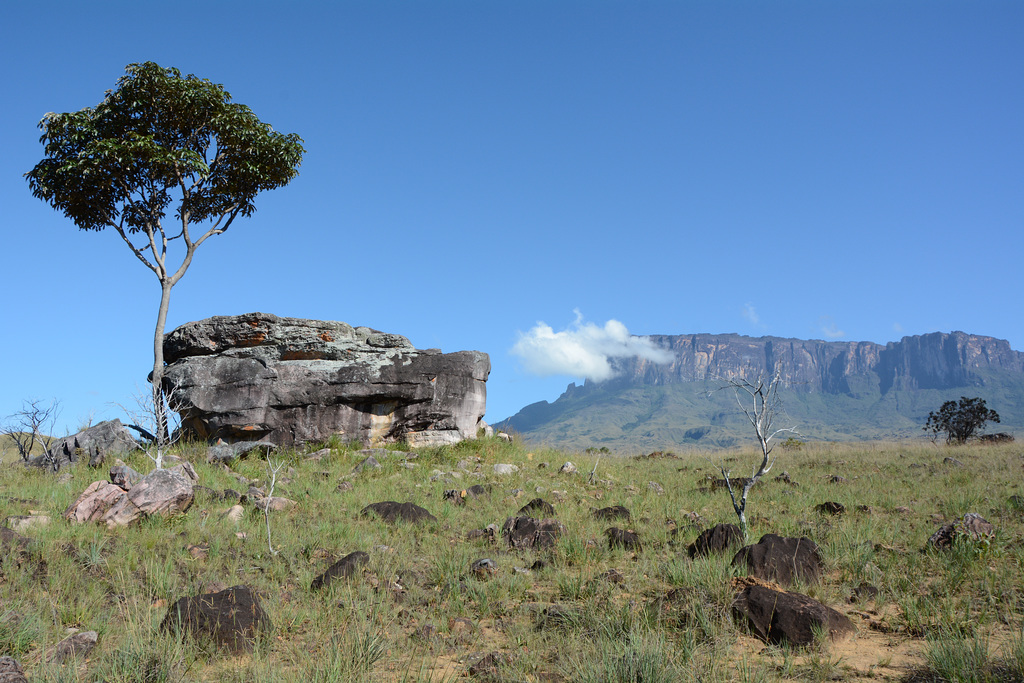 Venezuela, Landscape with the Tepui of Kukenan