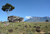 Venezuela, Landscape with the Tepui of Kukenan