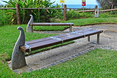 Interesting benches