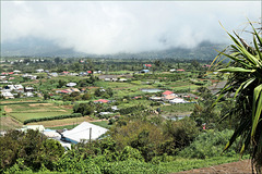 Le Tampon (974, Ile de la Réunion). 15 mars 2024.