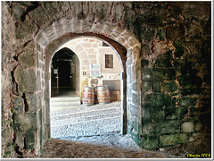 Le vin attend dans les tonneaux...