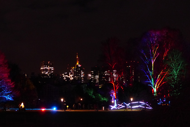 Frankfurt ganz bunt