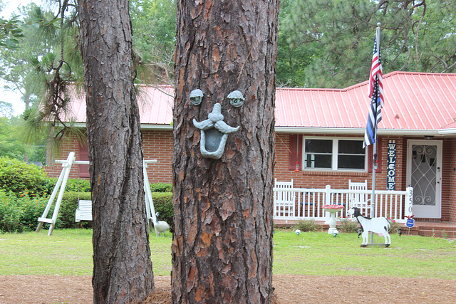 Hey there, Im here on this tree....to wish you a Happy Fence Friday....:))